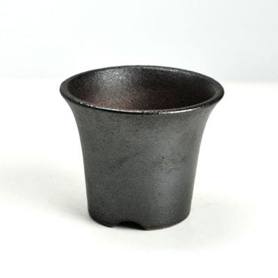 黒3.5号 ラッパ鉢の盆栽を販売｜盆栽妙 – 盆栽妙 本店