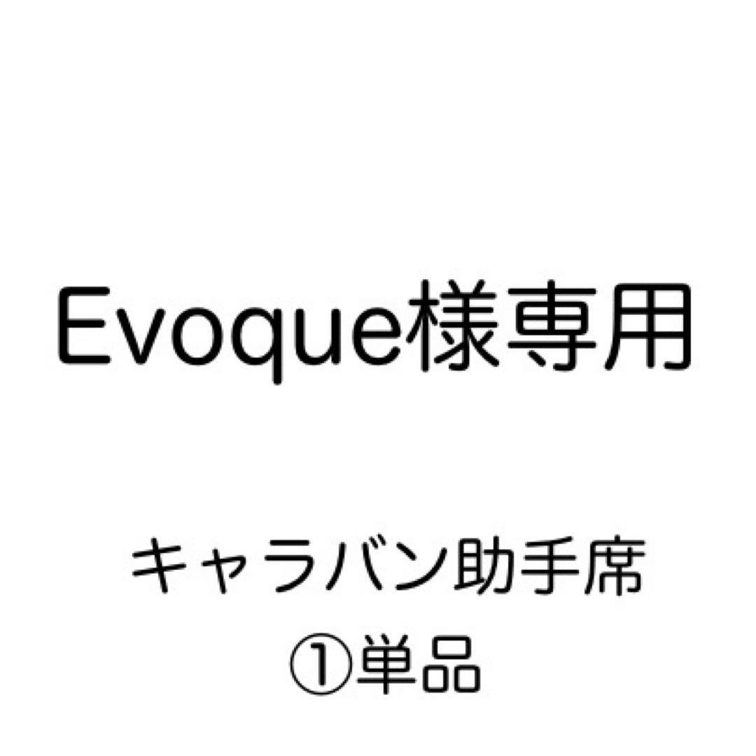 [専用出品]Evoque NANLUX Evoke 900C 撮影用ライト フルカラースポットライト RGBLAC